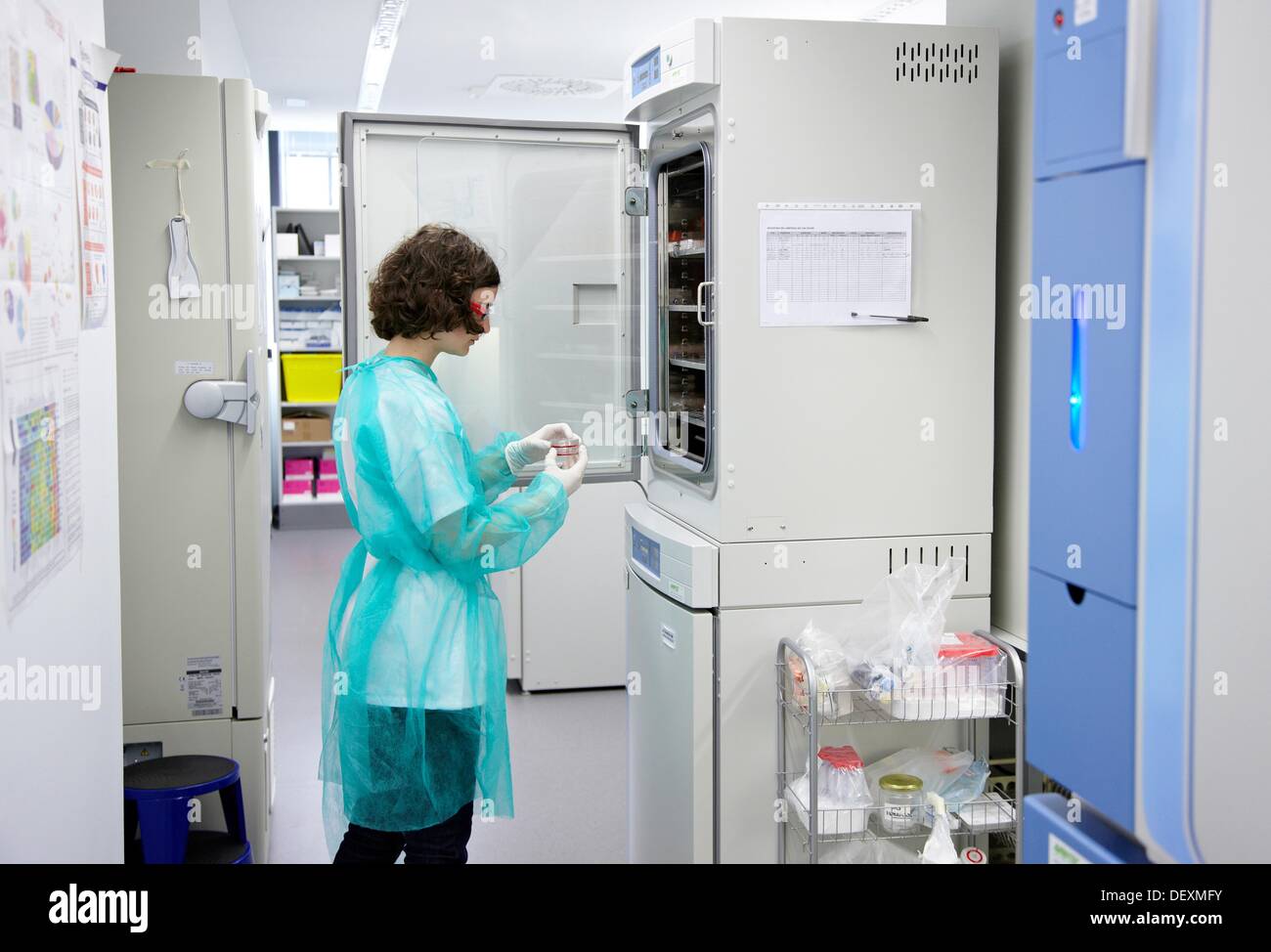 Incubators, Cell Culture Unit, Research in Oncology and Regenerative