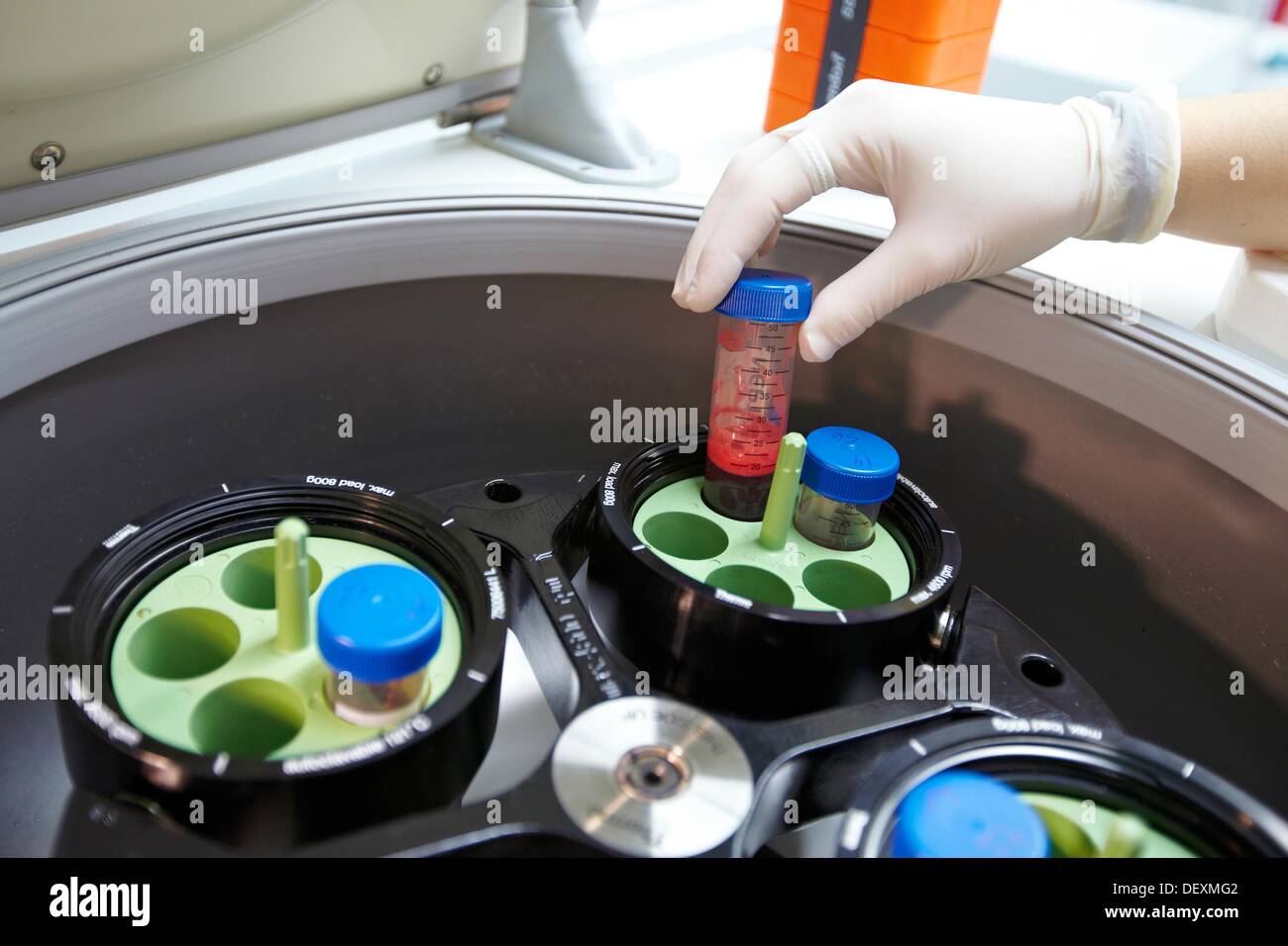Centrifuge, DNA and RNA biobank, extraction and storage of DNA/RNA from