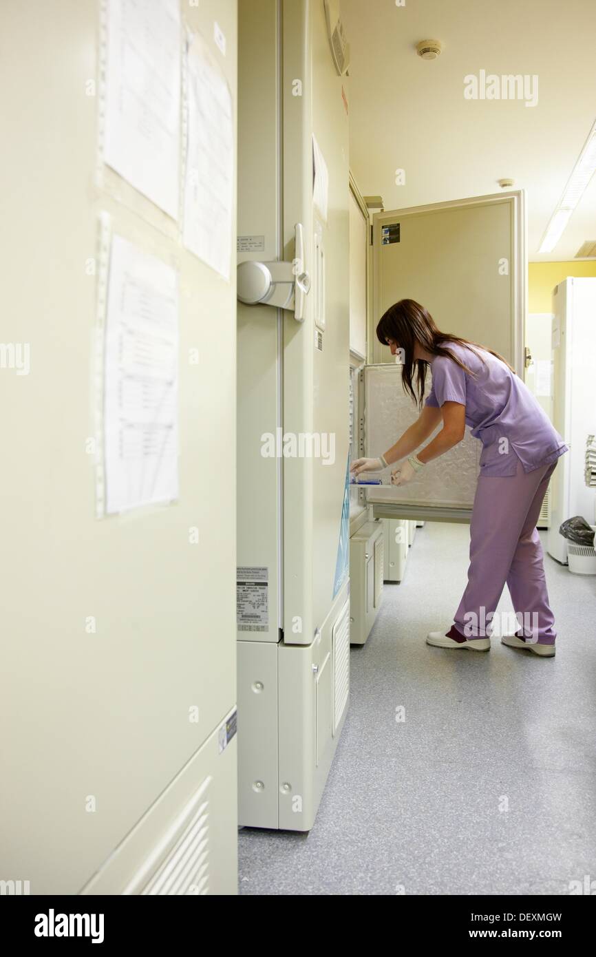 Storing samples in refrigerator at 80º C, DNA and RNA biobank, extraction and storage of DNA