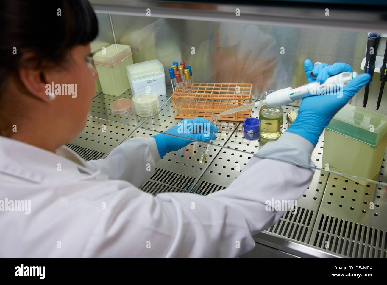 Cleanroom Microbiology Routine activities in laminar flow for