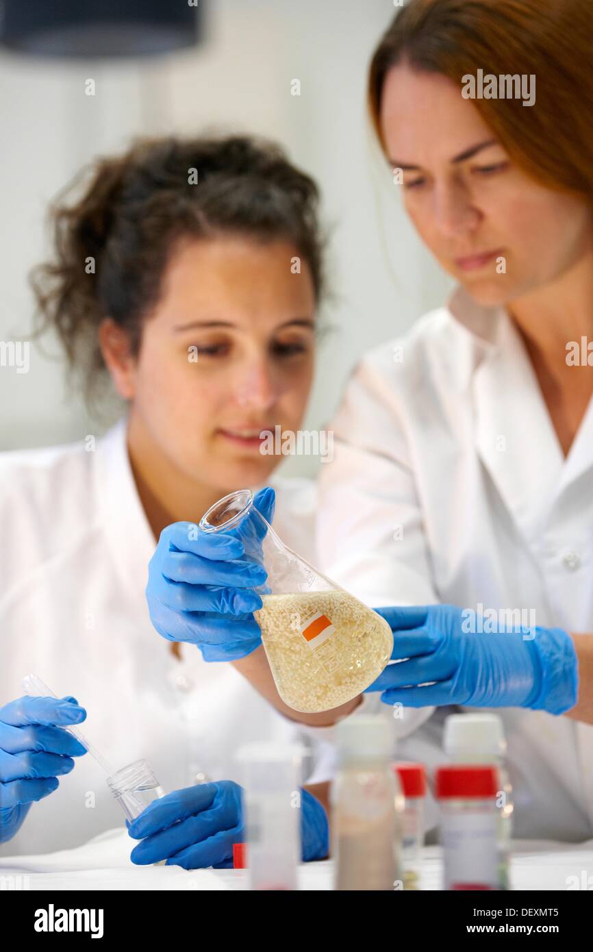 Transformation of grape juice into wine is a complex process requiring