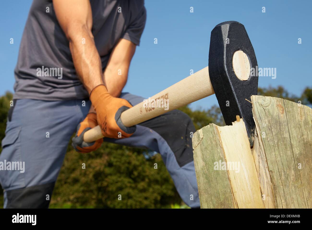 Farmer cutting wood with wedge club, Sledgehammer wedge, Agricultural