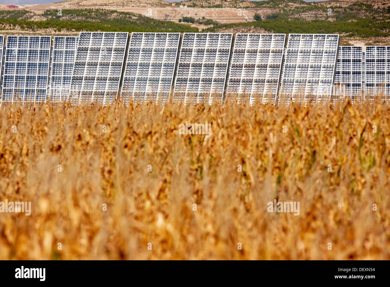 Corn field, solar panels, photovoltaics, solar power plant, Villafranca
