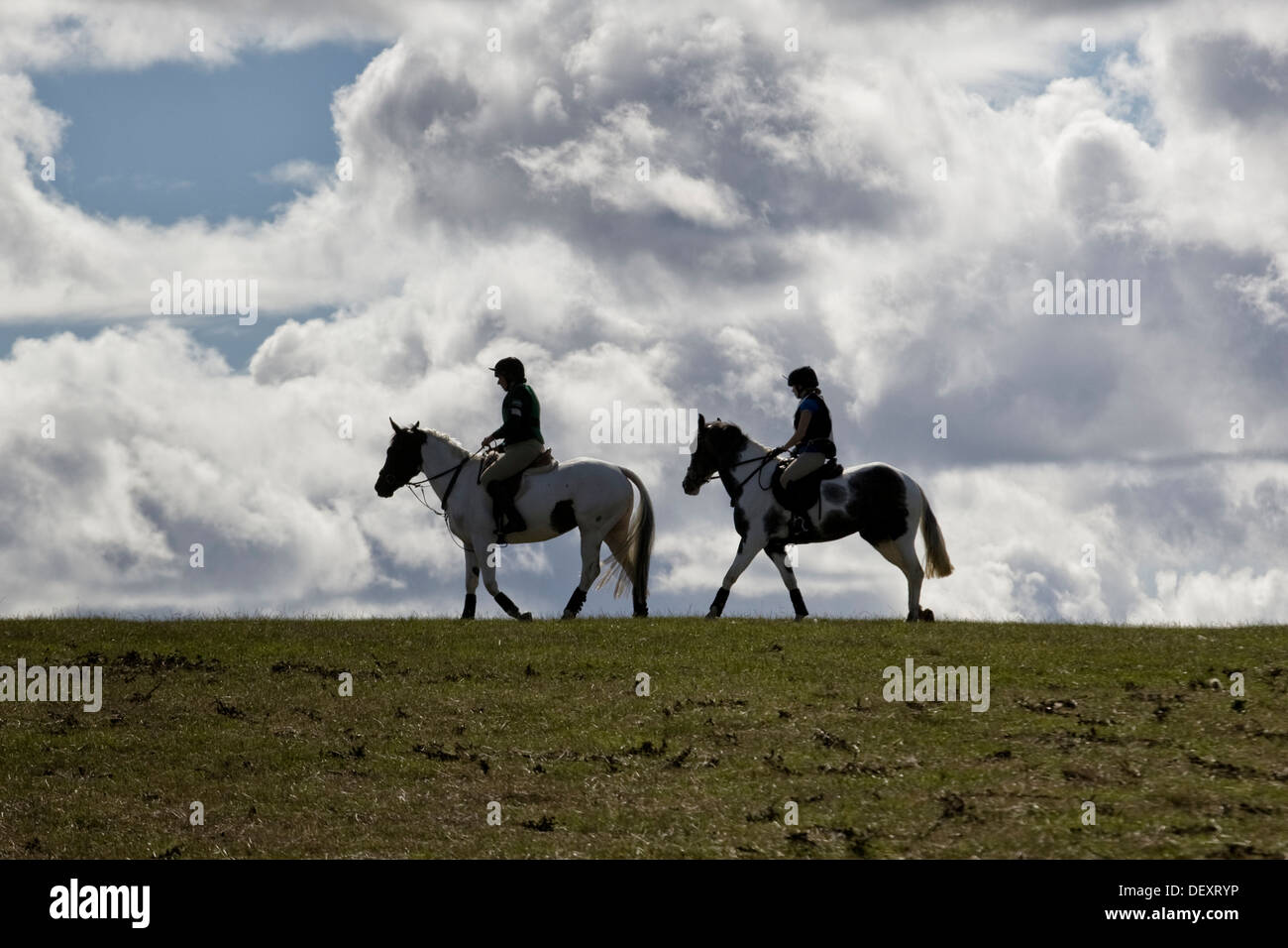 British equestrian hires stock photography and images Alamy