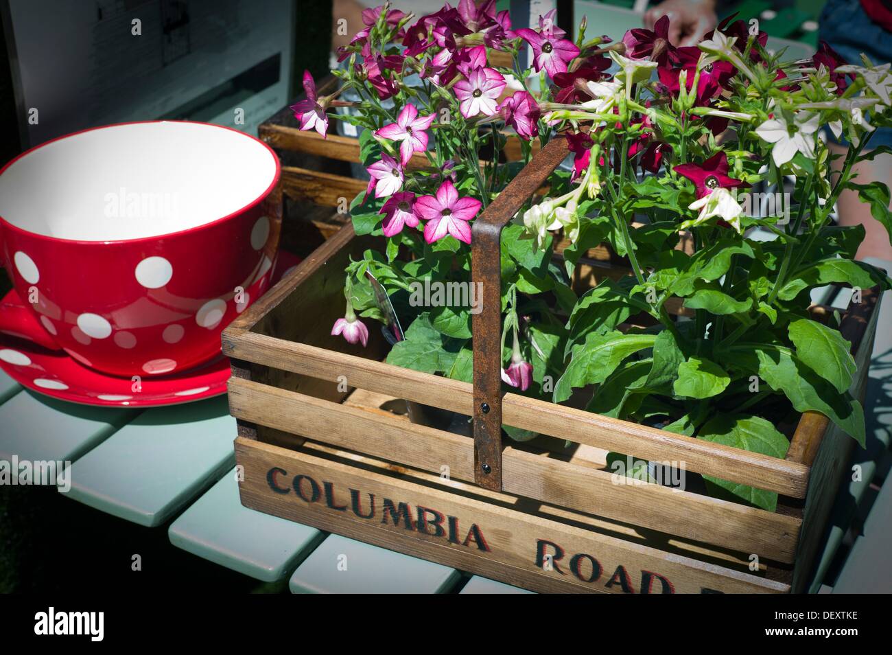 End framing hires stock photography and images Alamy