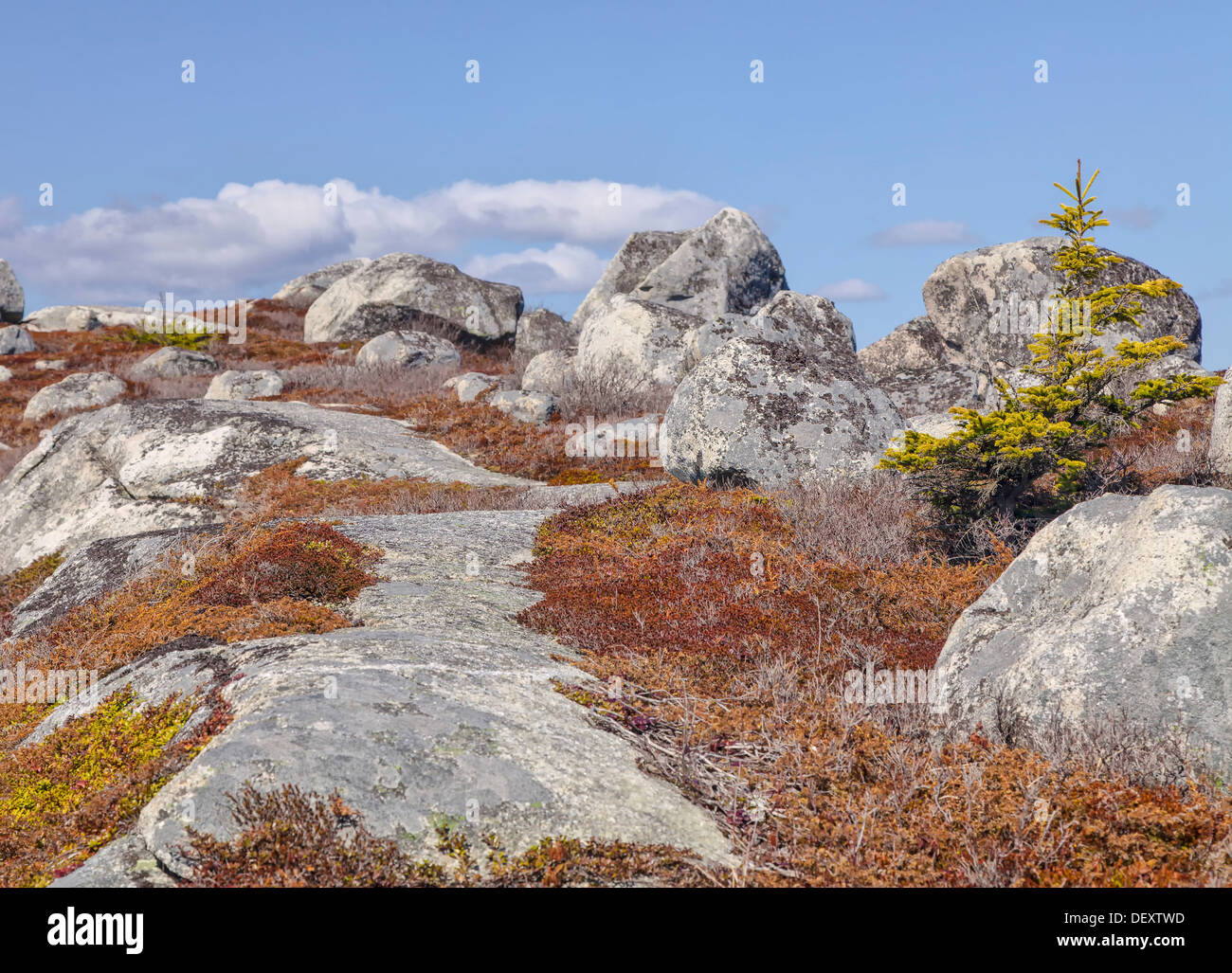 A rocky northern landscape with a fragile and threatened ecosystem. Stock Photo