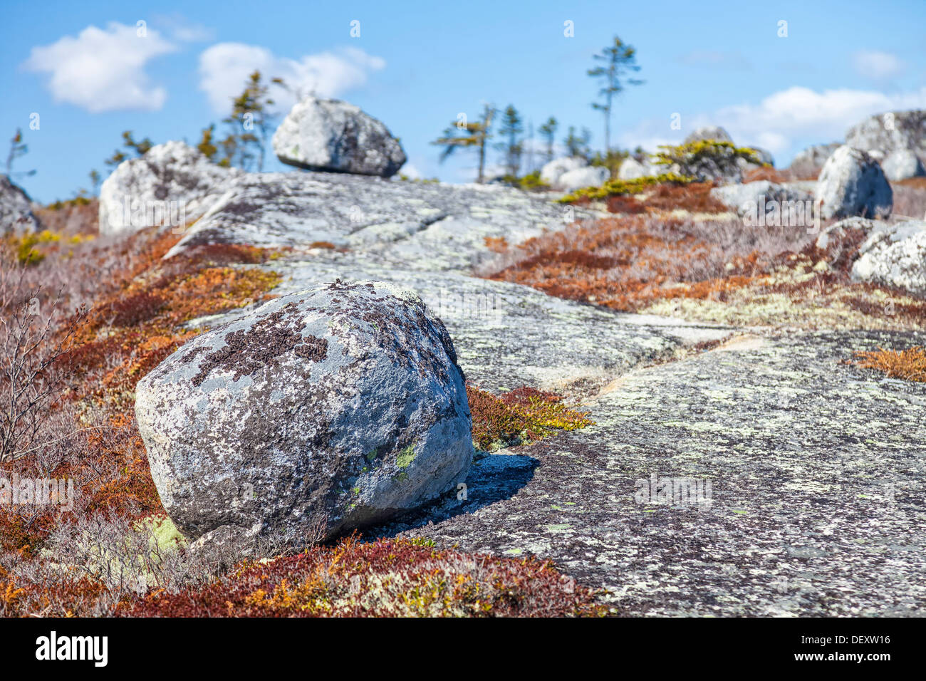 A rocky northern landscape with a fragile and threatened ecosystem. Stock Photo