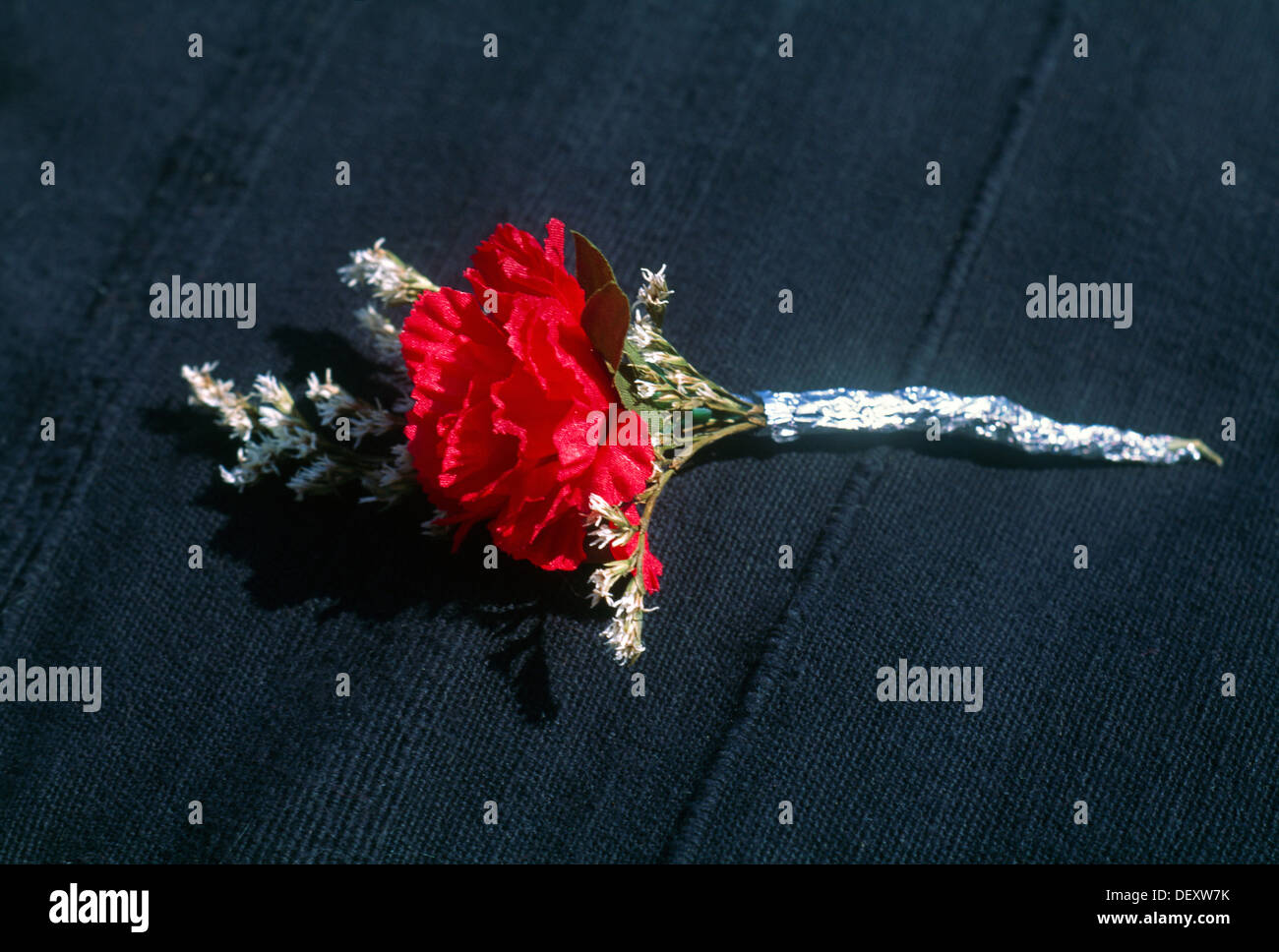 Lucky White Heather & Red Carnation Stock Photo