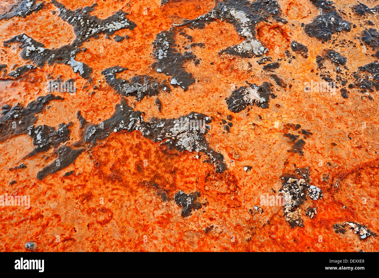 Algal-bacterial mats and mineral deposits at a hot spring, Upper Geyser Basin, Yellowstone National Park, Wyoming, USA Stock Photo