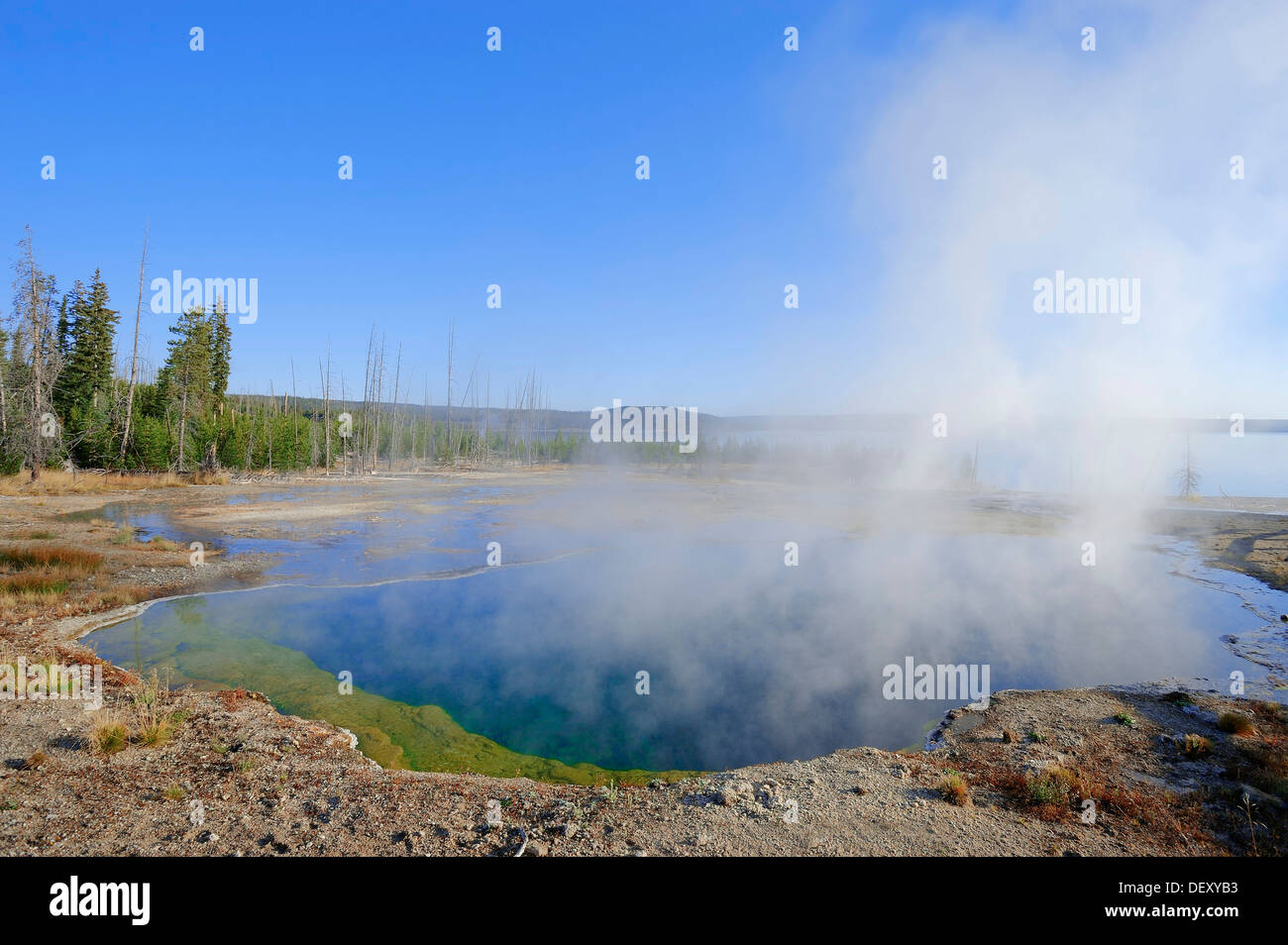 Abyss Pool, hot spring, West Thumb Geyser Basin, Yellowstone National Park, Wyoming, USA Stock Photo