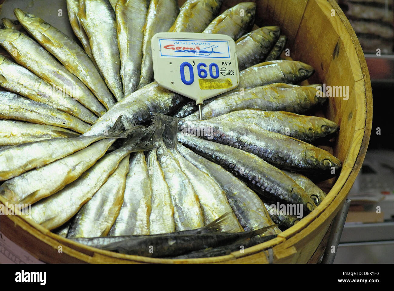 Fish aligned in circle at public fish market stall, herrings. Boquería