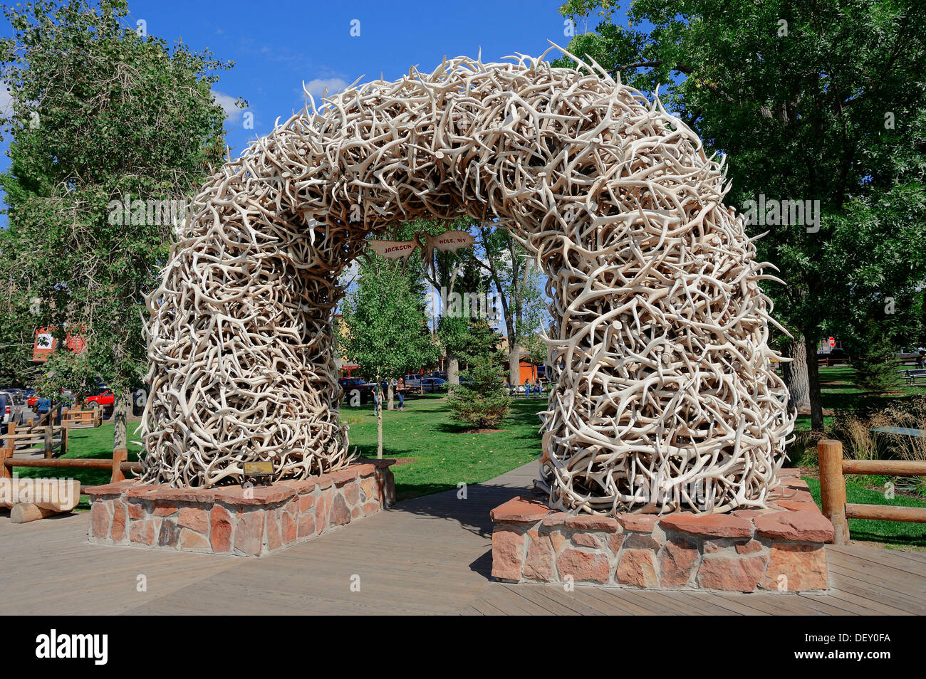 Arch made of Wapiti or Elk (Cervus canadensis, Cervus elaphus ...