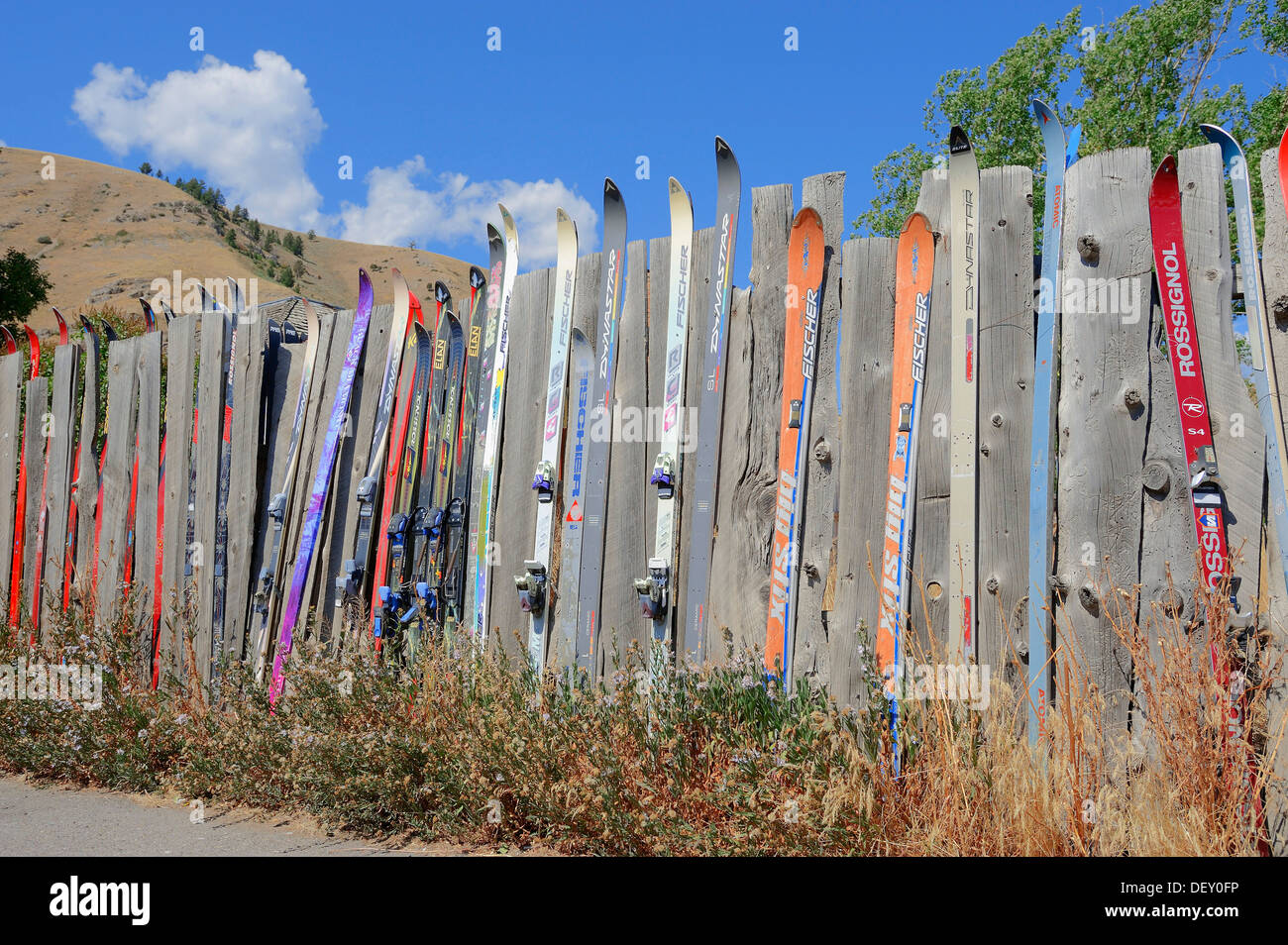 Picket fence with skis, Jackson, Wyoming, USA, PublicGround Stock Photo