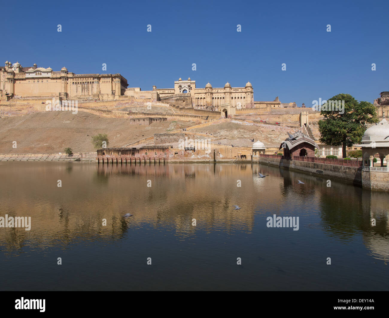 Beautiful amber fort near jaipur hi-res stock photography and images ...