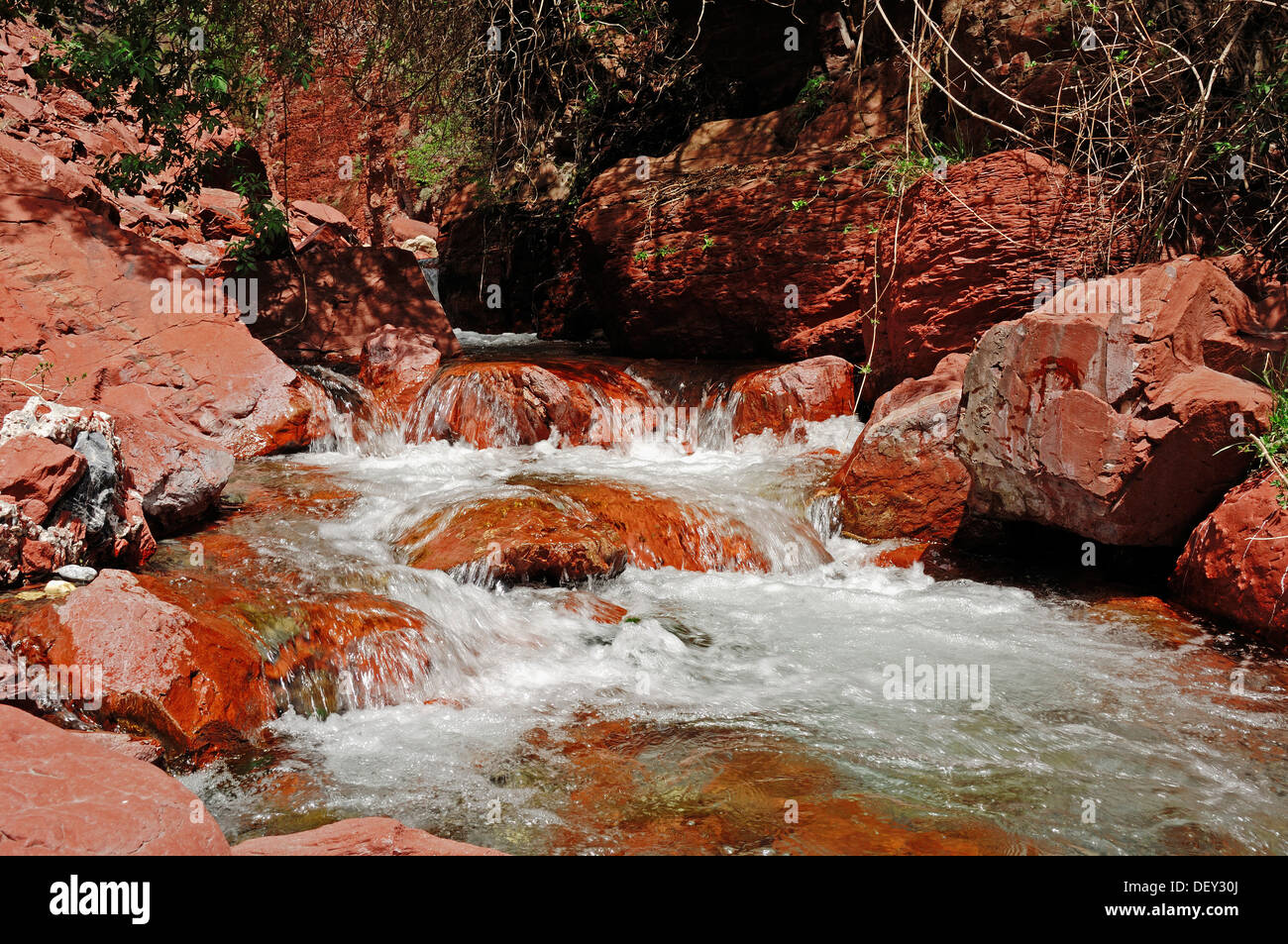 River in the Gorges du Cians gorge, Alpes-Maritimes, Provence-Alpes-Cote d'Azur, Southern France, France, Europe Stock Photo