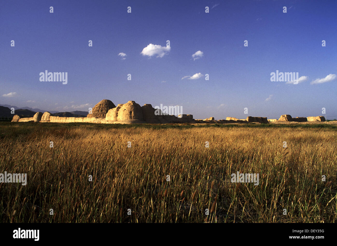 View of the ancient Western Xia tombs at the foot of the Helan Mountains in the Ningxia Hui Autonomous Region of northwestern China. The Western Xia dynasty also known as Tangut Empire, existed between 1038 and 1227 Stock Photo