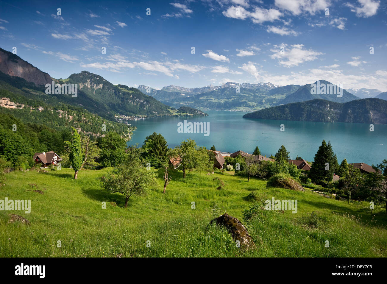 View from Telli towards the south, Weggis, Lake Lucerne, Canton of Lucerne, Switzerland, Europe Stock Photo