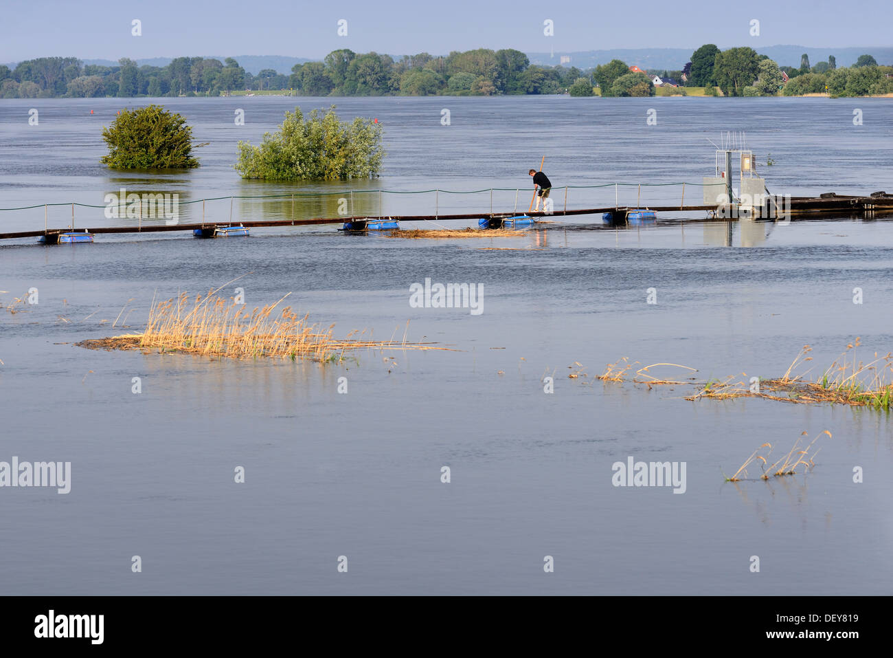 Elbe flood in 2013 in old narrow nurse, 4 and marshy land, Hamburg, Germany, Europe, Elbe-Flut 2013 in Altengamme, Vier- und Mar Stock Photo