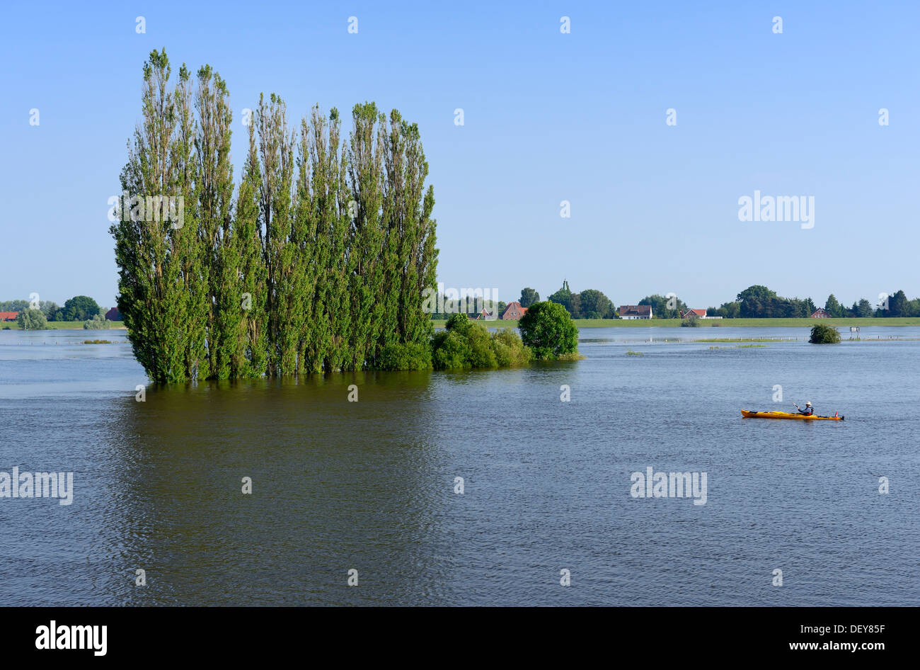 Elbe flood in 2013 in old narrow nurse, 4 and marshy land, Hamburg, Germany, Europe, Elbe-Flut 2013 in Altengamme, Vier- und Mar Stock Photo