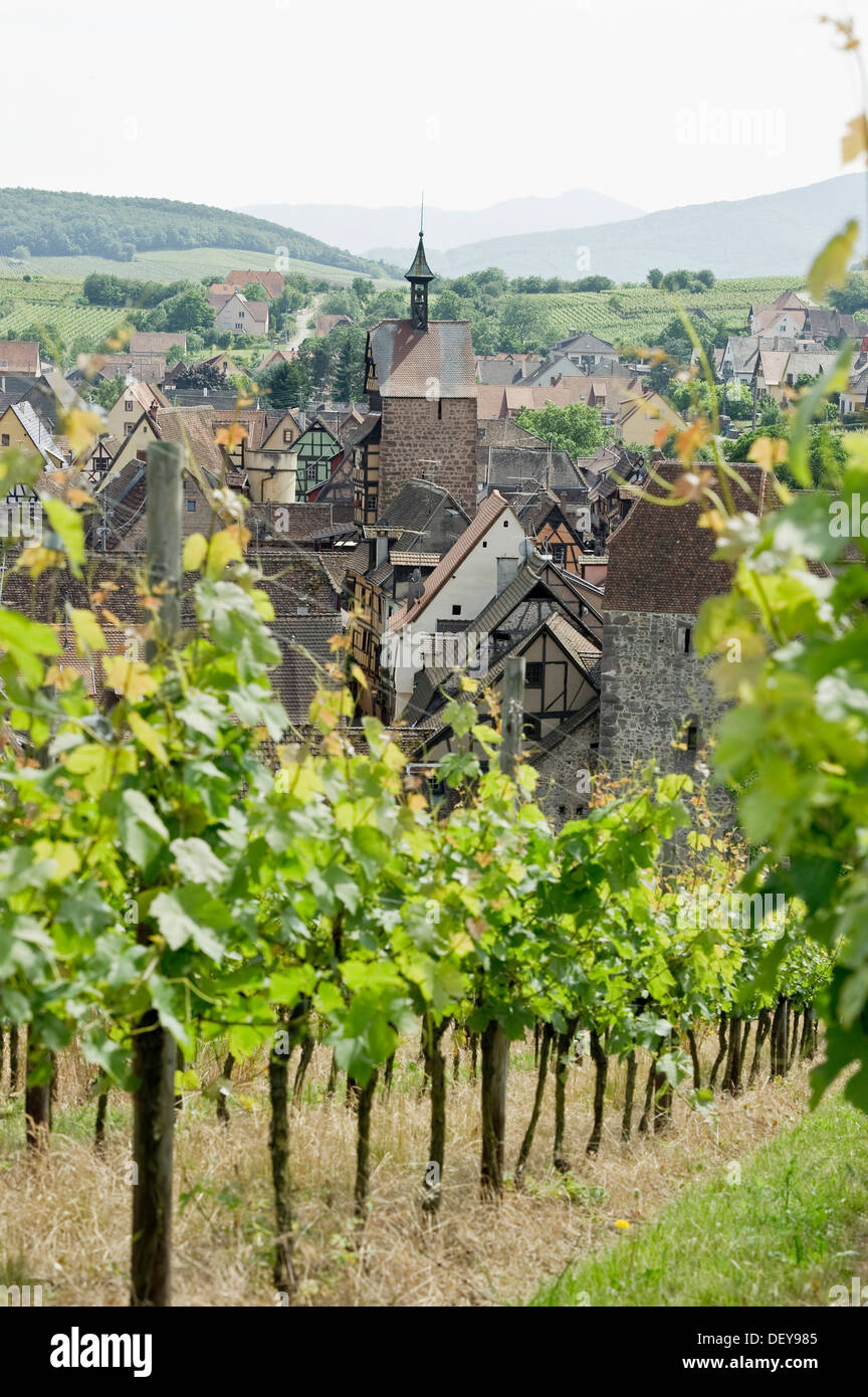 Cityscape and vineyards, Colmar, Alsace, France, Europe Stock Photo