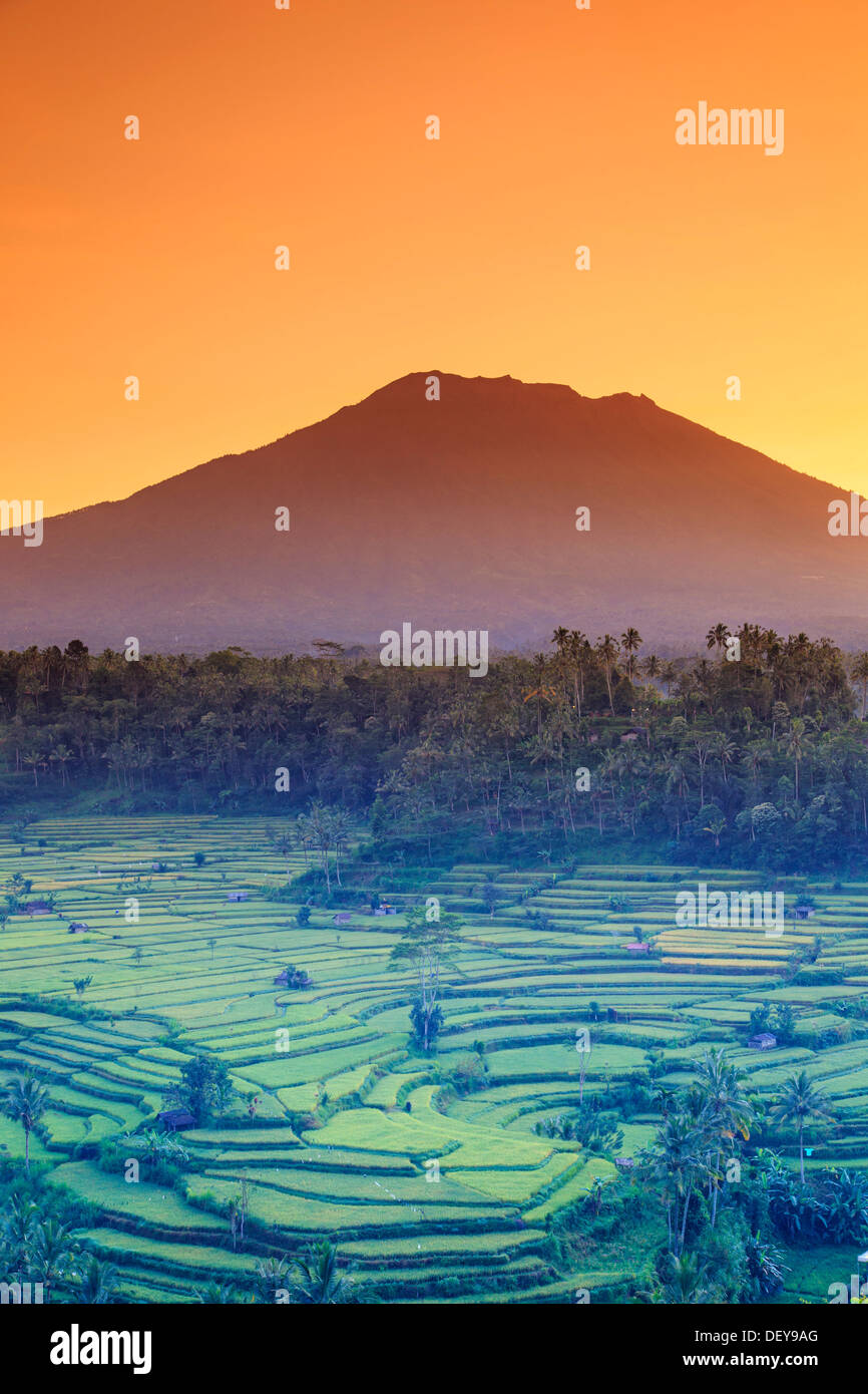 Indonesia, Bali, Redang, View of Rice Terraces and Gunung Agung Volcano Stock Photo