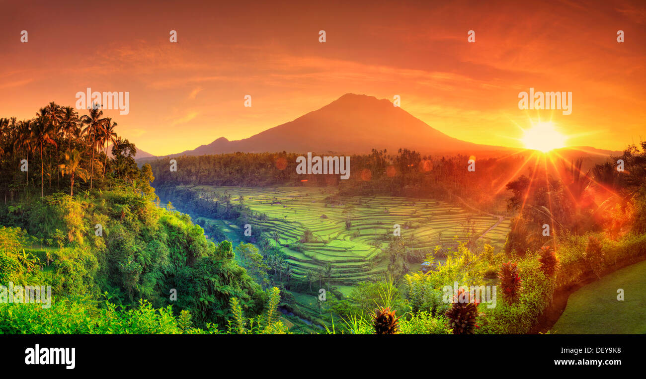 Indonesia, Bali, Redang, View of Rice Terraces and Gunung Agung Volcano Stock Photo