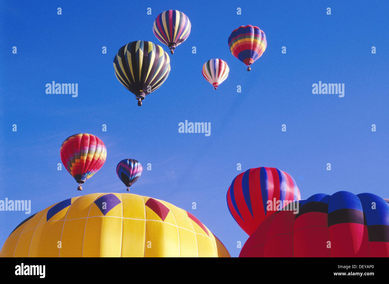Hot air balloon festival. California. USA Stock Photo - Alamy