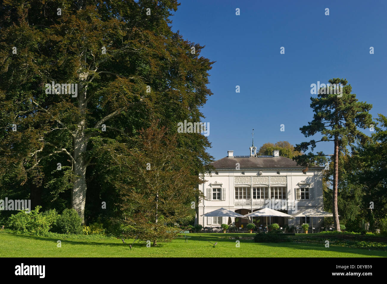 Villa Merian Stock Photos Villa Merian Stock Images Alamy