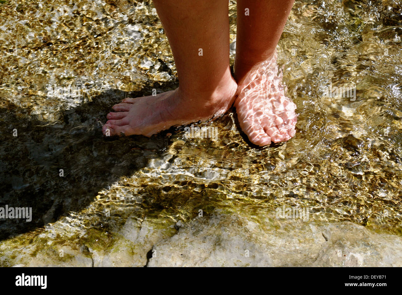 Toes in the water Stock Photo Alamy
