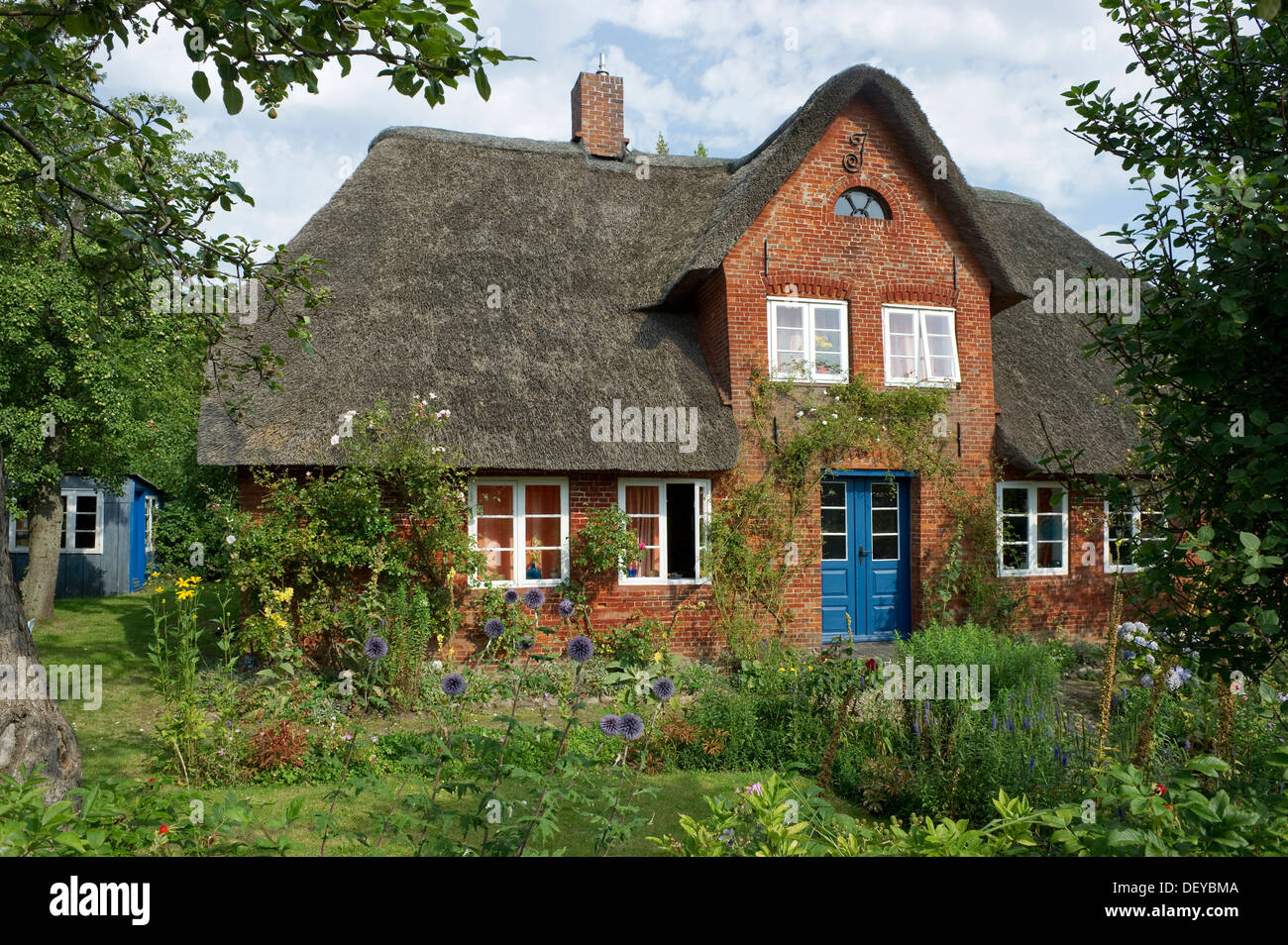 Thatched cottage and cottage garden, Nebel, Amrum, North Frisian Islands, Schleswig-Holstein Stock Photo