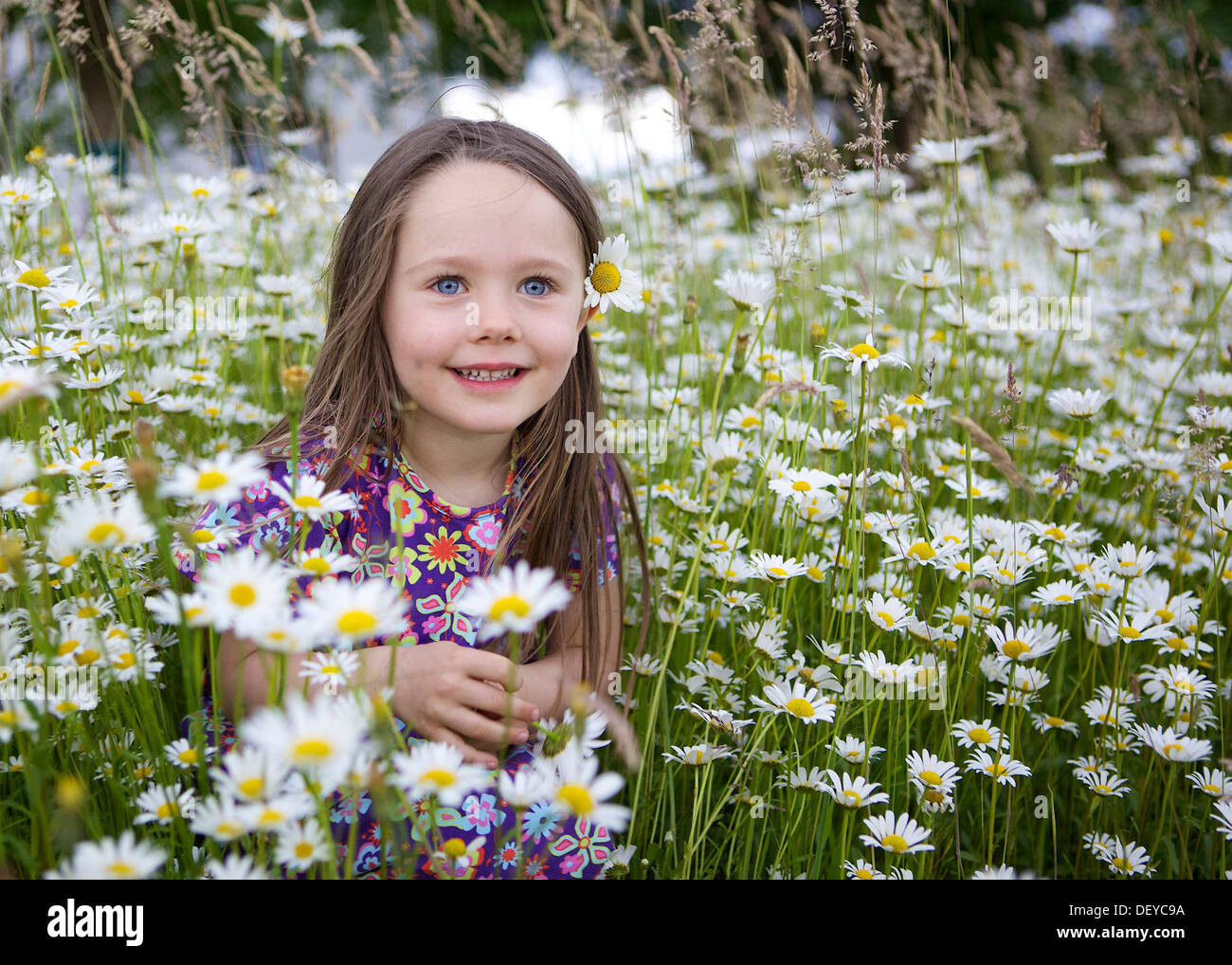 Little girl, three years, sitting in a flower meadow with many daisies ...