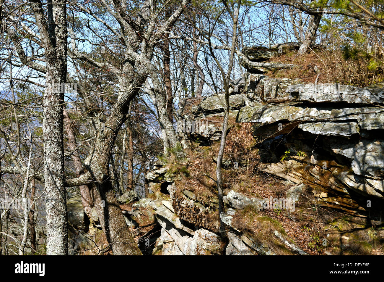 Trees and Boulders on Lookout Mountain Stock Photo Alamy