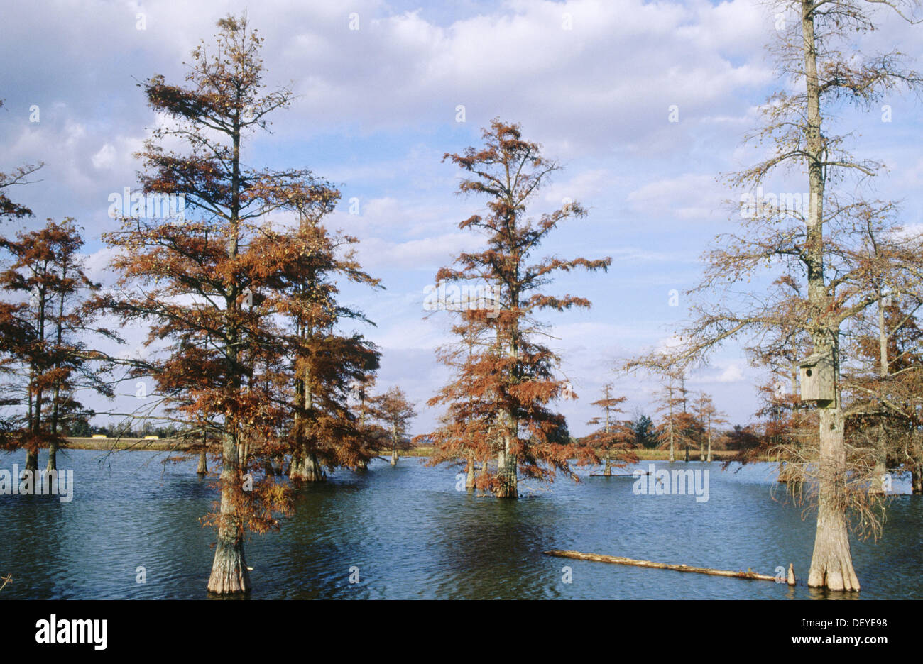 Tutwiler mississippi hires stock photography and images Alamy