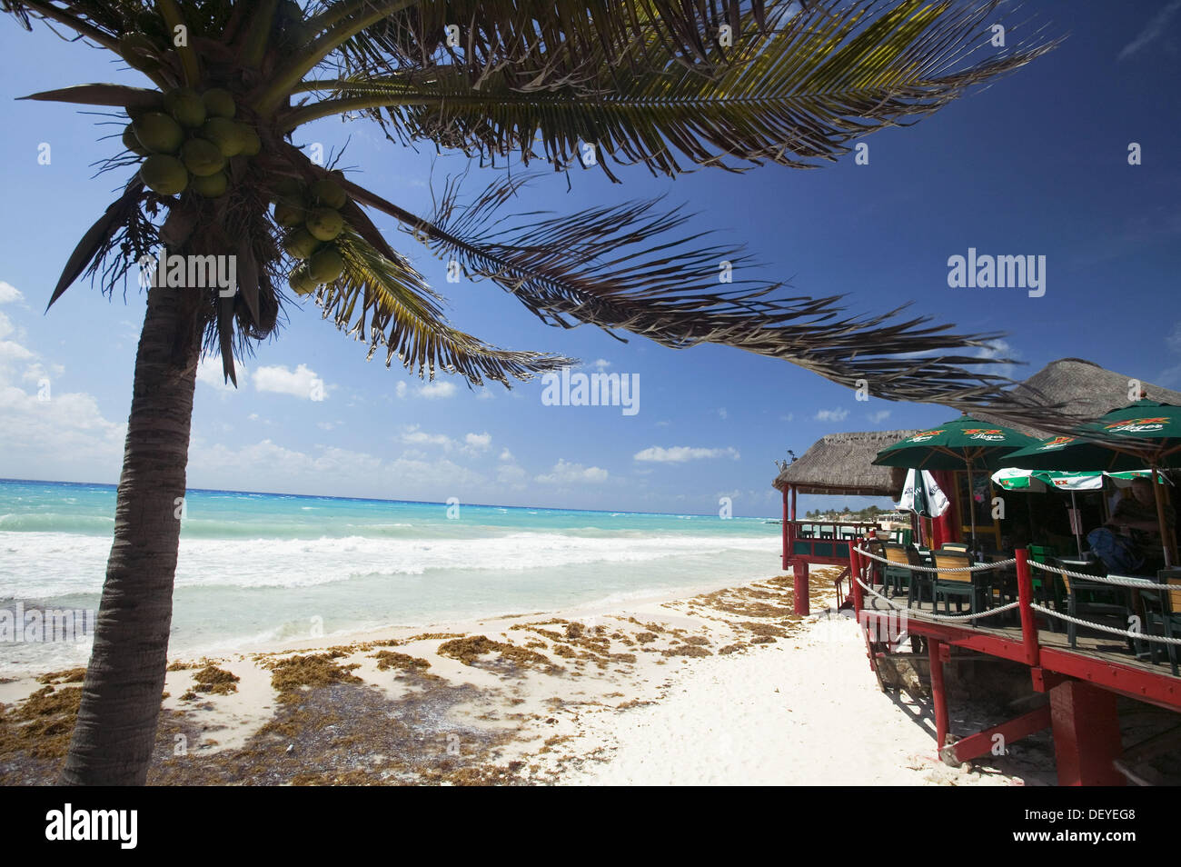 Playa del Carmen. Yucatan Peninsula, Mexico Stock Photo Alamy