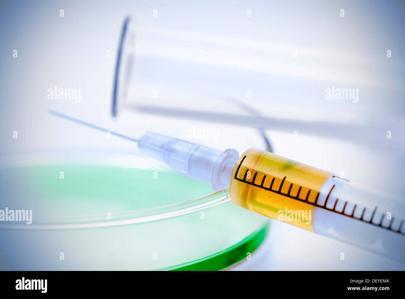 Syringe and petri dish, biochemistry Stock Photo