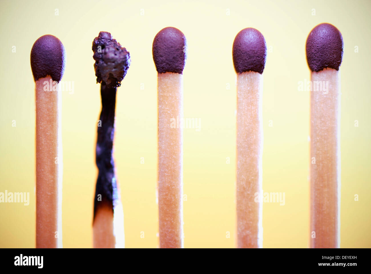 A burnt match between new matches, symbolic image burnout syndrome ...