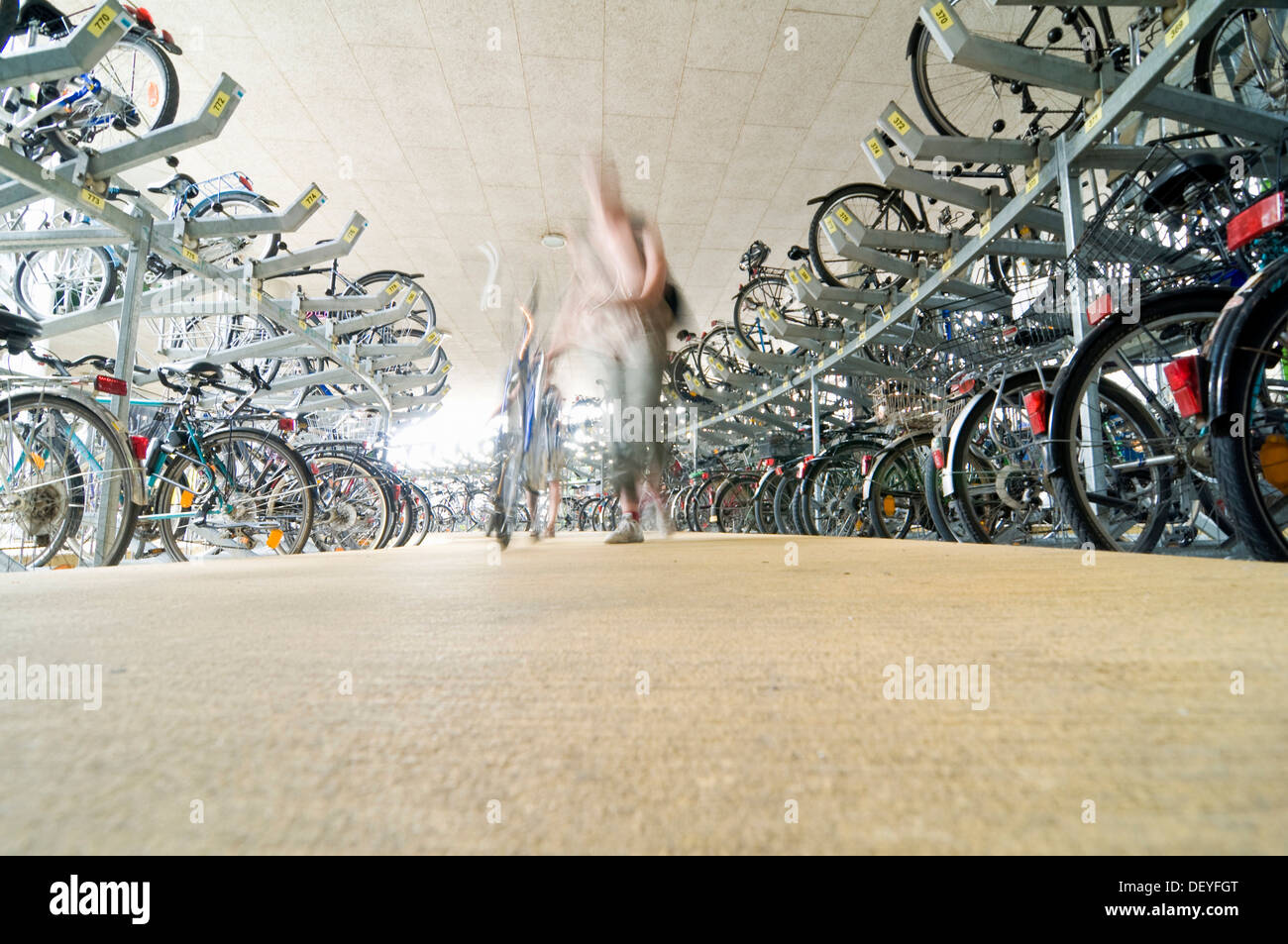 Bicycle parking, Freiburg im Breisgau, BadenWürttemberg, Germany Stock Photo Alamy