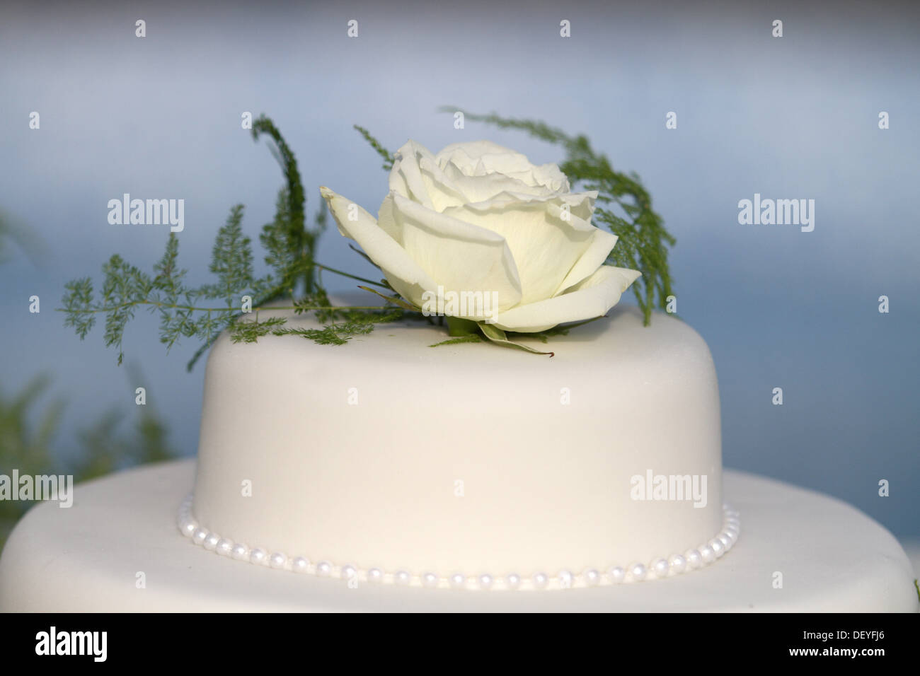 decoration for a wedding Stock Photo