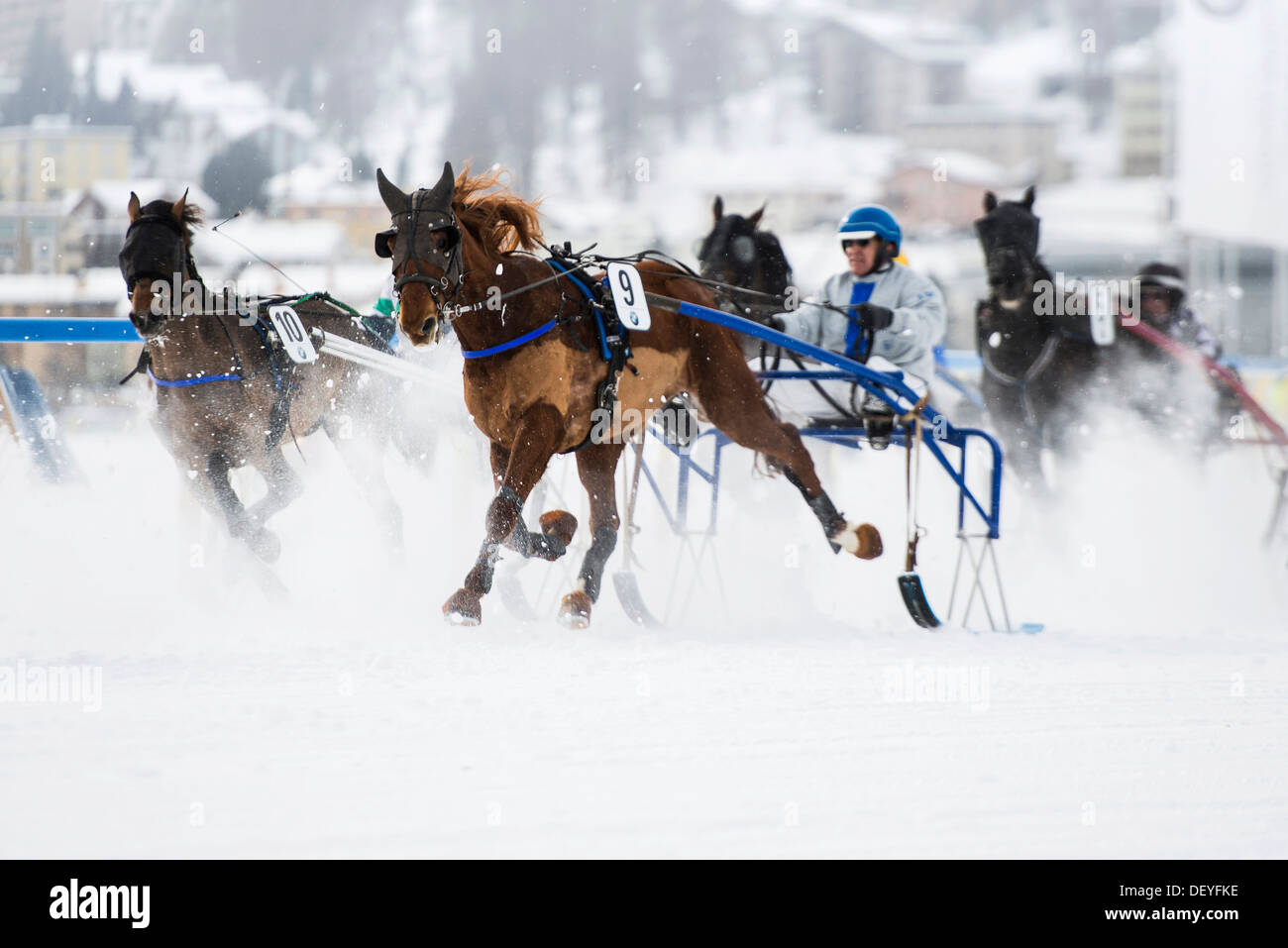 Horse racing on a frozen lake, St. Moritz, Engadin, Graubünden, Switzerland Stock Photo