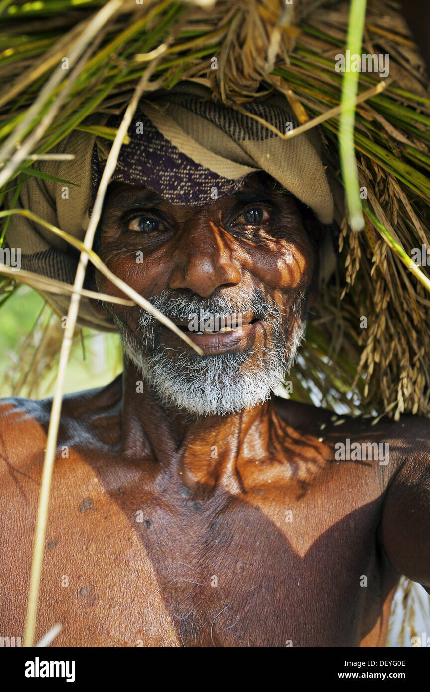 Farmer near Puduchery. Tamil Nadu, India Stock Photo - Alamy