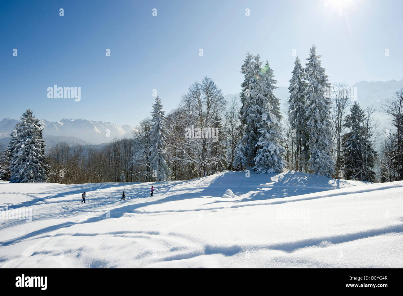 Snowy winter landscape, Eckbauer, Garmisch-Partenkirchen, Upper Bavaria, Bavaria, Germany Stock Photo