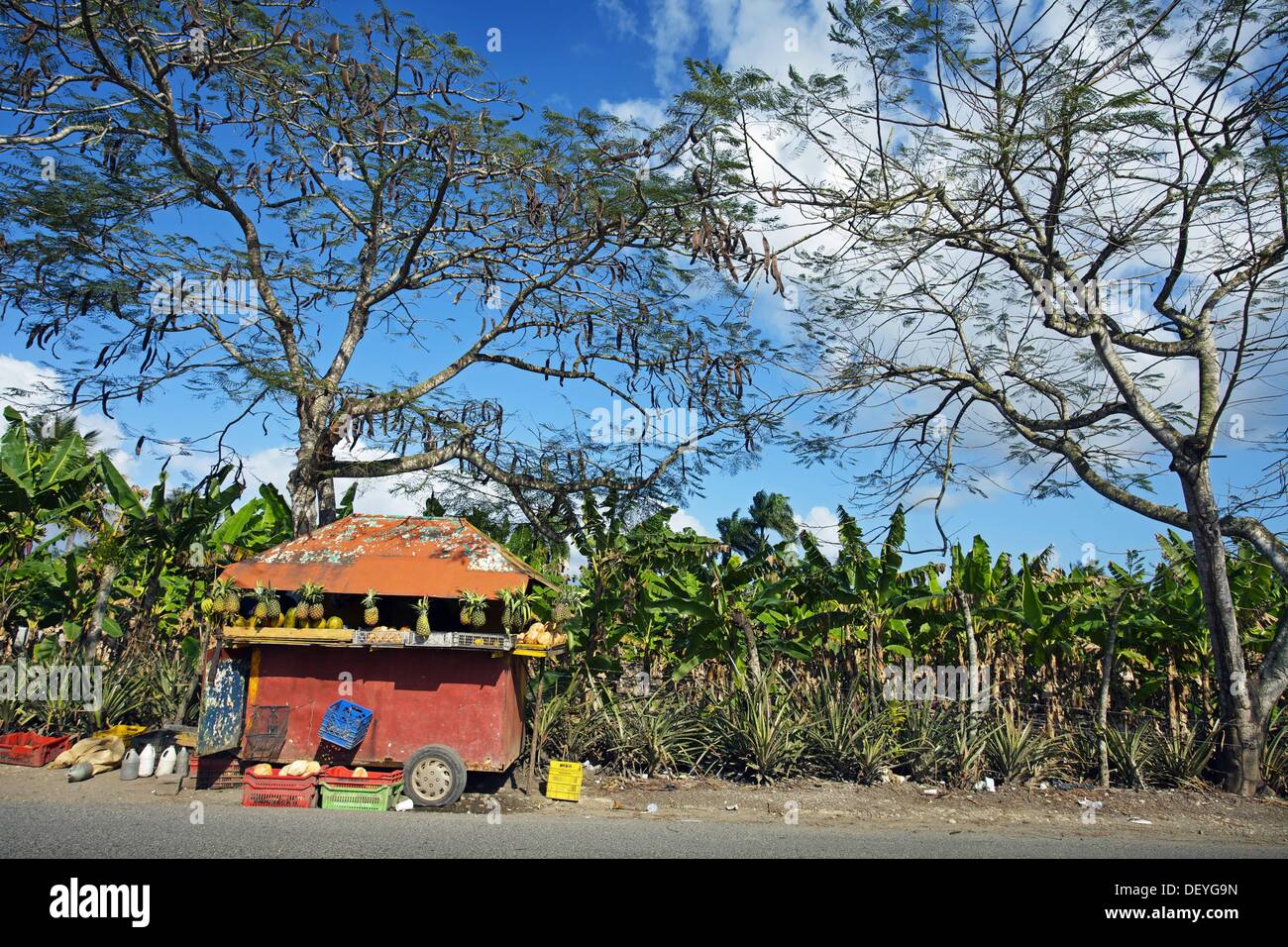 Dominican republic la vega province hires stock photography and images