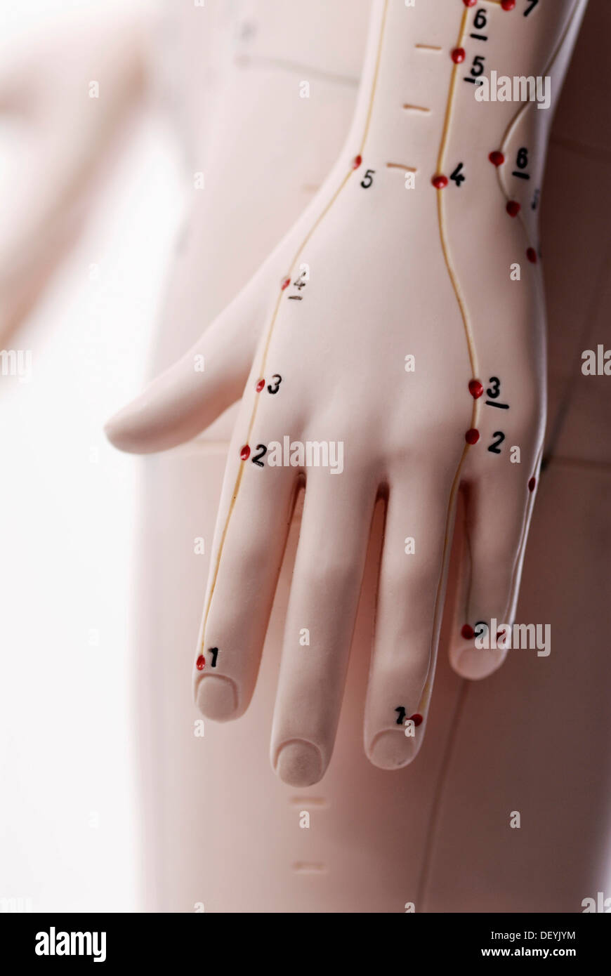 acupuncture points hand