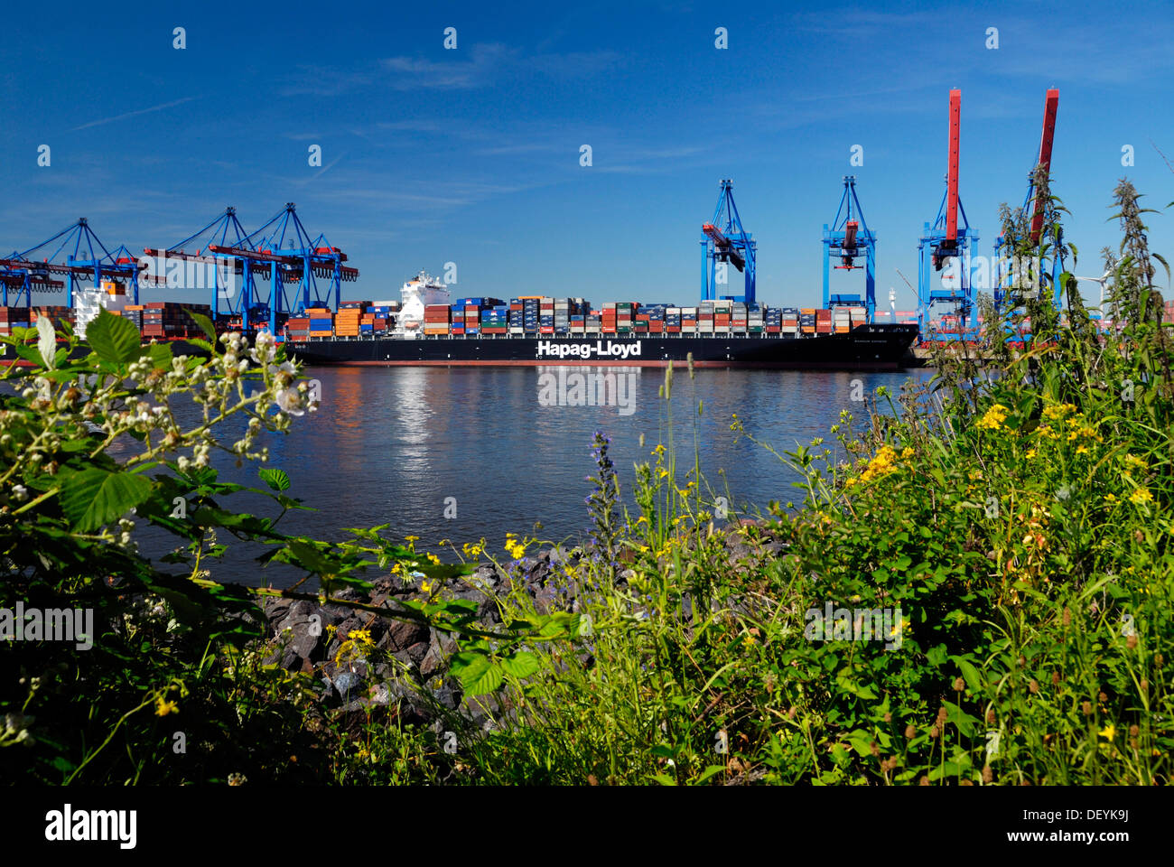 Hapag-Lloyd container ship at the Altenwerder container terminal, Hamburg Stock Photo