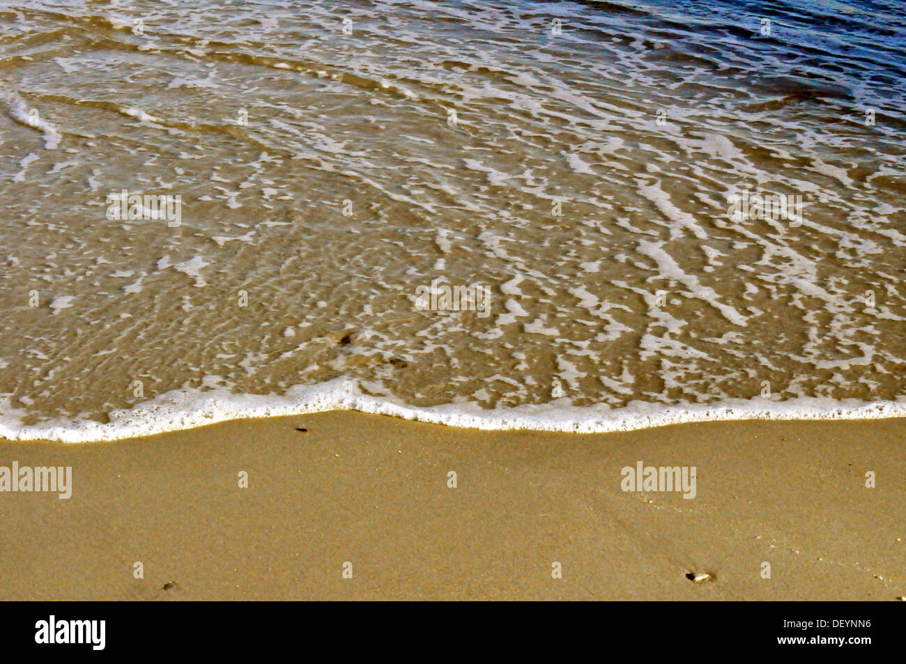 beach myrtle myrtle beach ocean sand sc South Carolina tide water wave