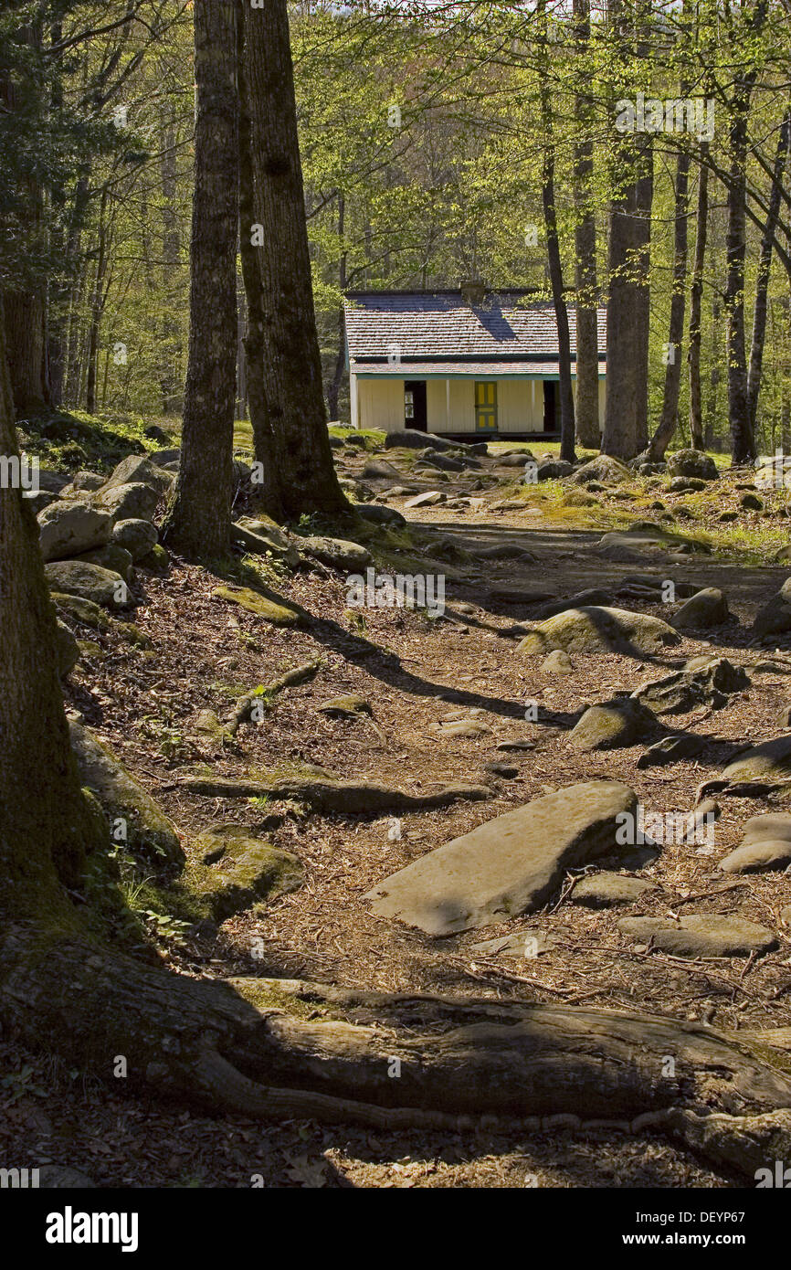Alfred Reagan place in Cades Cove through the trees in the Great Smokey