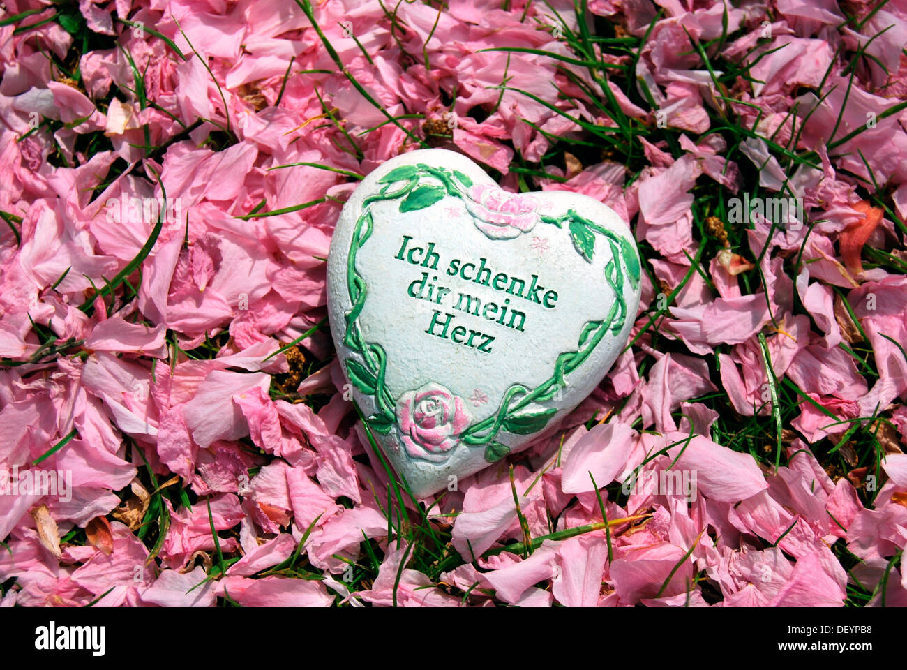 Heart with the words 'Ich schenke dir mein Herz' I give you my heart, on cherry blossoms, Japanese Cherry Stock Photo