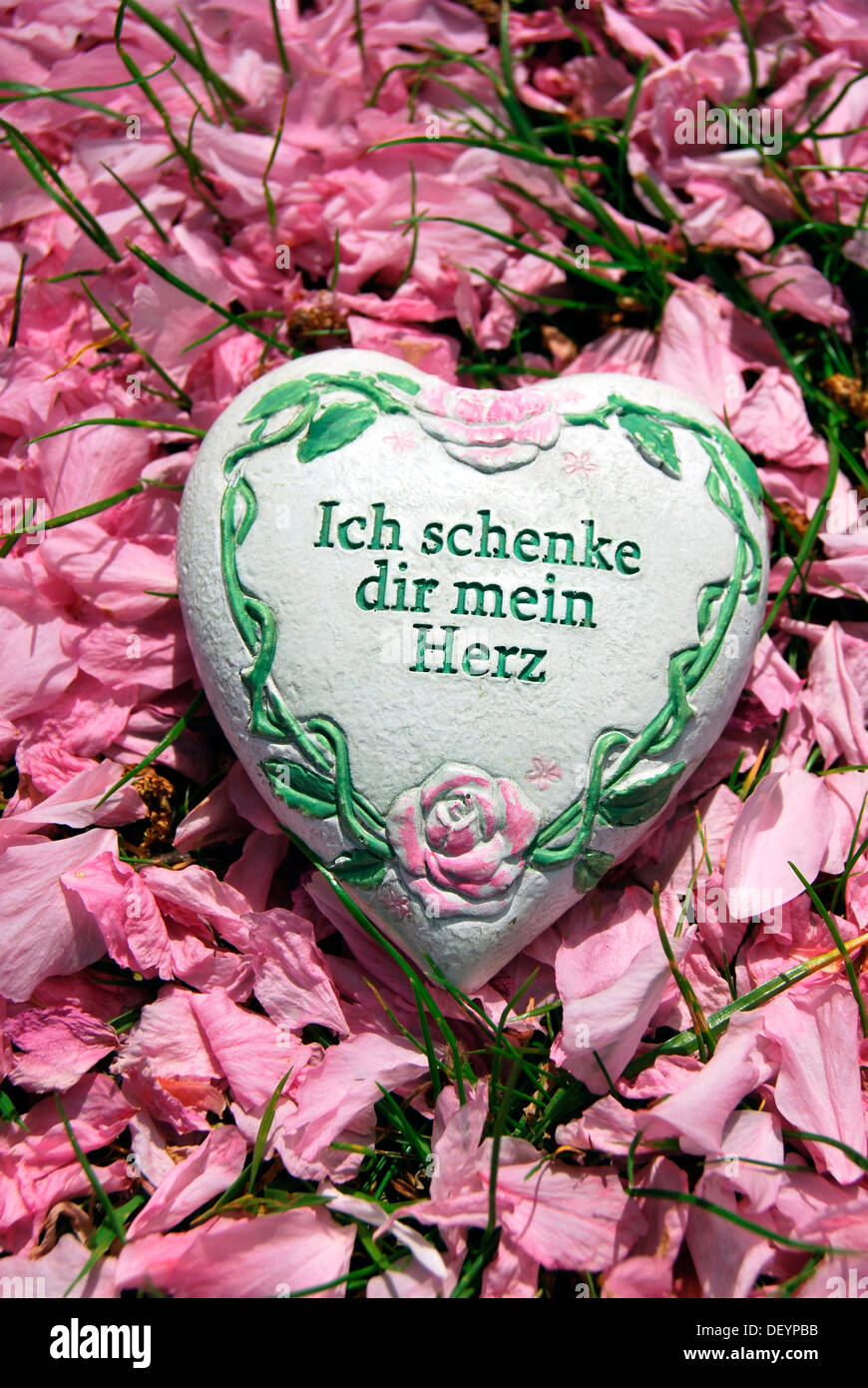 Heart with the words 'Ich schenke dir mein Herz' I give you my heart, on cherry blossoms, Japanese Cherry Stock Photo