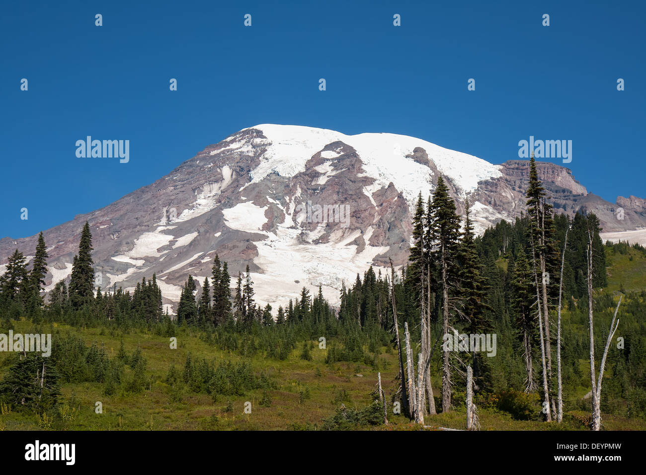 Mount Rainier looks very peaceful and scenic but It is considered to be