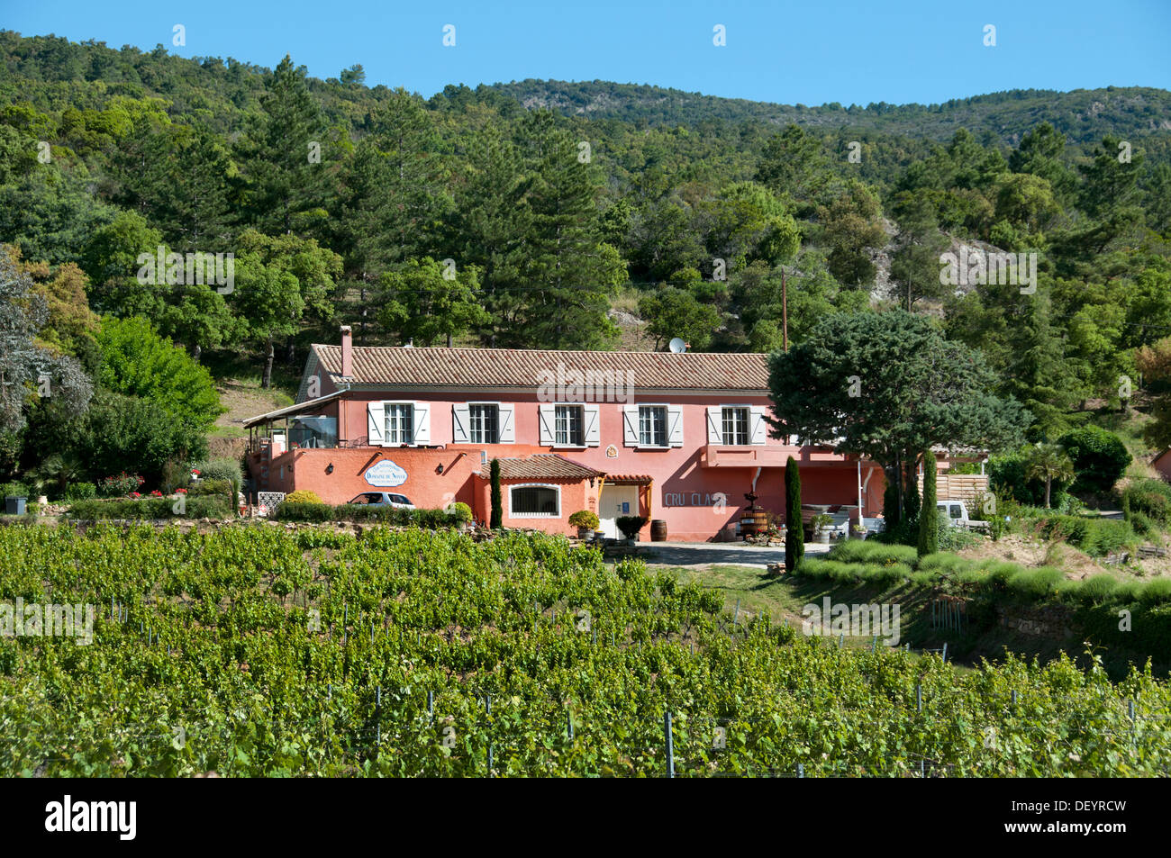 Domaine du Noyer France Wine Harvest Vintage Grapes Vineyard Agriculture Cotes de Provence Stock Photo